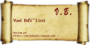 Vad Bálint névjegykártya